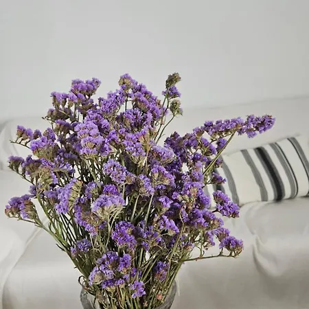 Grace And Harmony Of Ancient *