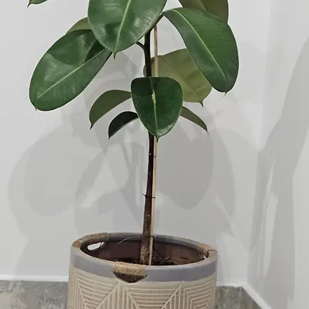 Villa Grace And Harmony Of Ancient Corinto