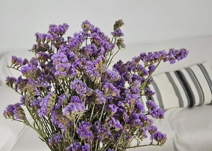 Grace And Harmony Of Ancient *