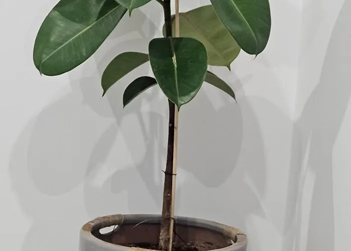 Вилла Grace And Harmony Of Ancient Corinth